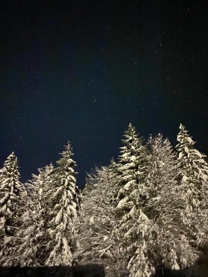 Apartma Rozi Lägenhet Kranjska Gora Exteriör bild